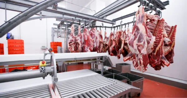 Invierte en el futuro de la industria cárnica